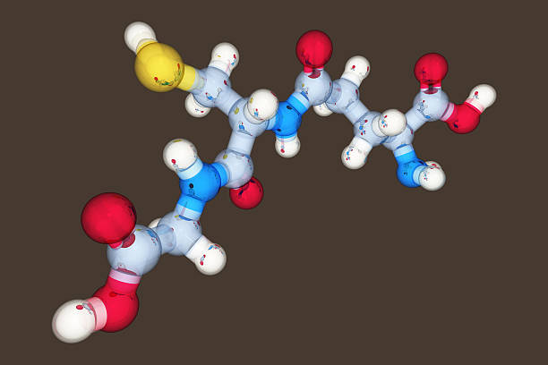 Model of Glutathione